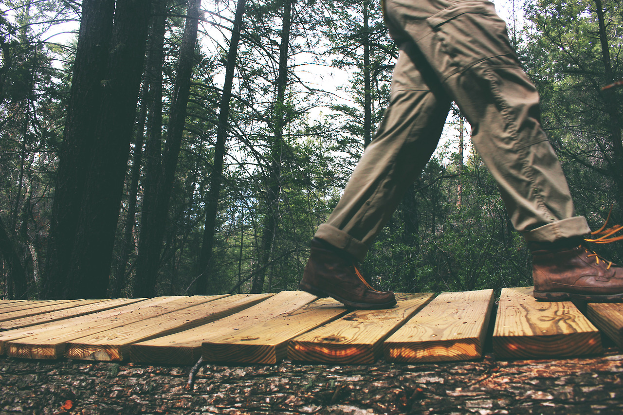 Weekend Hike In The Pine Forest